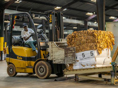 H.J.Al-Mahan monpower company Civil Categories